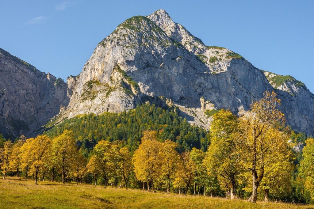 mountain, trees, leaves, foliage, fall, nature, landscape, mountain, trees, trees, trees, trees, trees